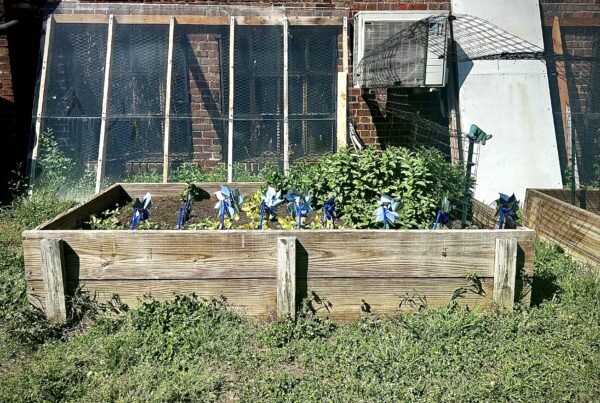 Image of a community garden.