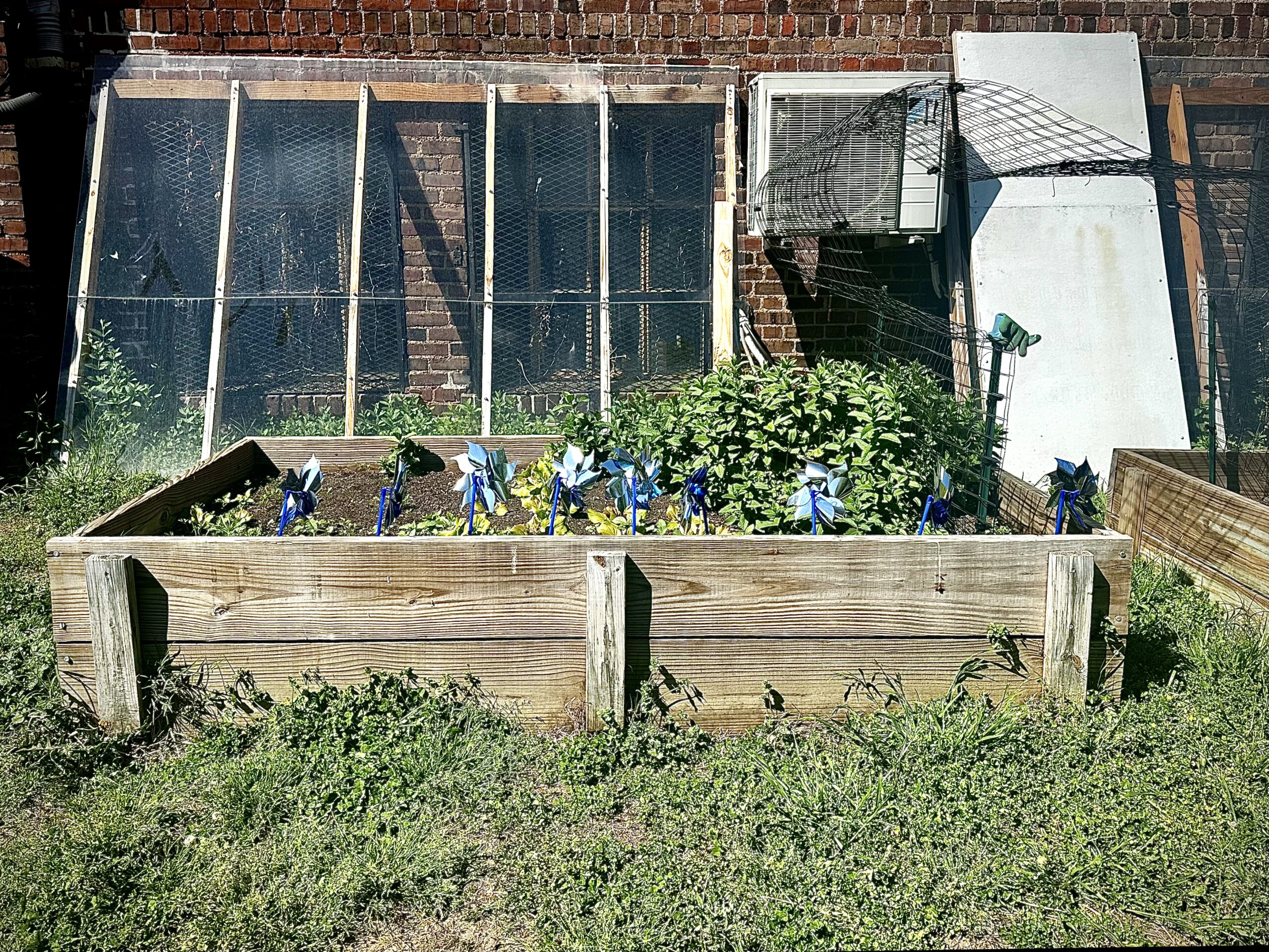 Image of a community garden.