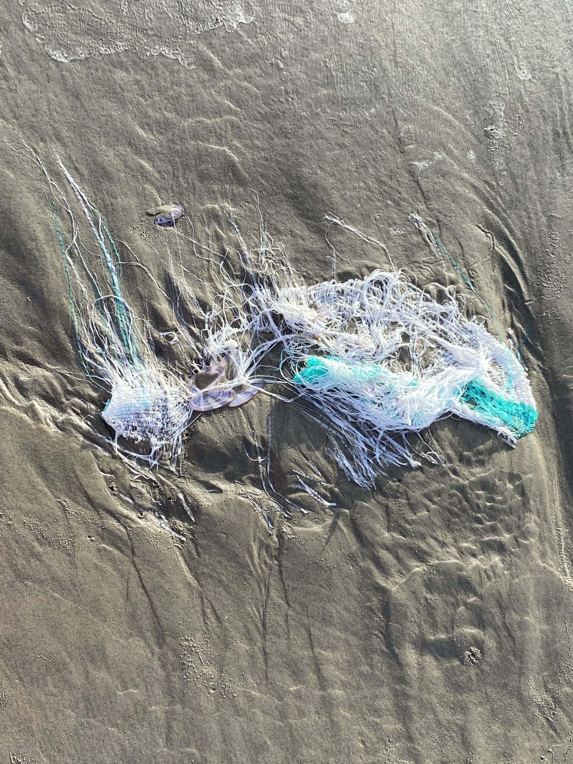 "streaks of plastic imprint the sand"